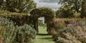 Garden path at King John’s Nursery framed by leafy archway, flowering plants, and greenery.