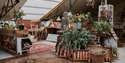 Rustic nursery shop interior with plants, pots, tools, and vintage décor under a bright skylit roof.