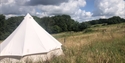 Wilding in the Weald
