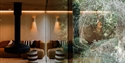 sofa and soft furnishes with glass facade and wooded landscape outside.