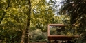 A suspended rectangular wooden lodge with large glass facade in a wooded landscape.