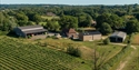 Aerial view of Oxney Organic Vineyard in Beckley, near Rye, East Sussex. © Sam Moore