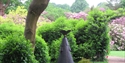 PASHLEY MANOR GARDENS rhododendrons and Philip Jackson sculpture in East Sussex
