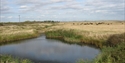 Rye Nature Reserve