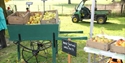 Batemans apple day