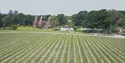 Oastbrook Estate Vineyard, Robertsbridge, East Sussex