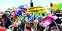 A sunny packed street scene showing crowds of people holding colourful umbrellas in the air.