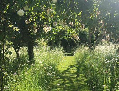 Meadow at King John’s Nursery and Garden, Etchingham, East Sussex.