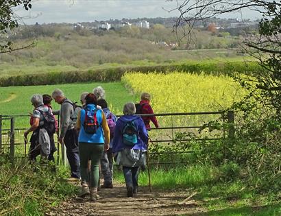 Combe Valley Countryside Park