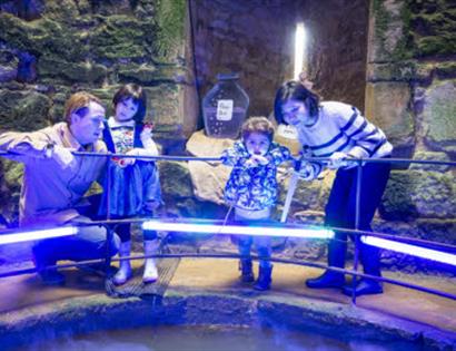 image shows a group of 2 adults and 2 children in Bodiam Castle looking at something off screen.