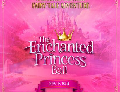 The Enchanted Princess Ball