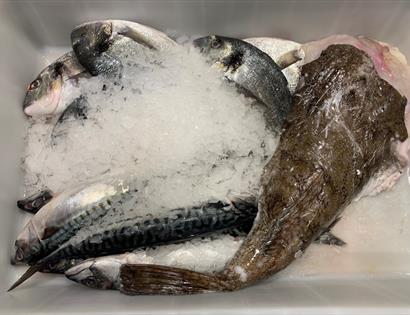 Webbes Cookery School - Sustainable Fish