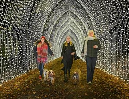 Christmas at Bedgebury