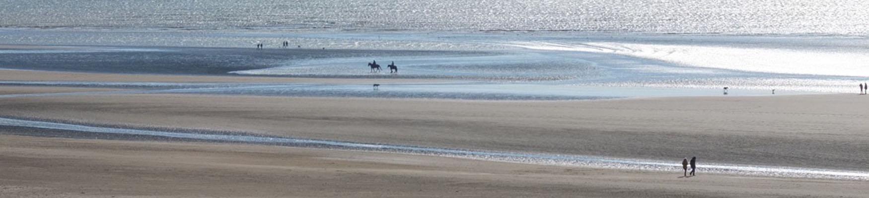 Wide view of Camber beach with horses and sea in distance