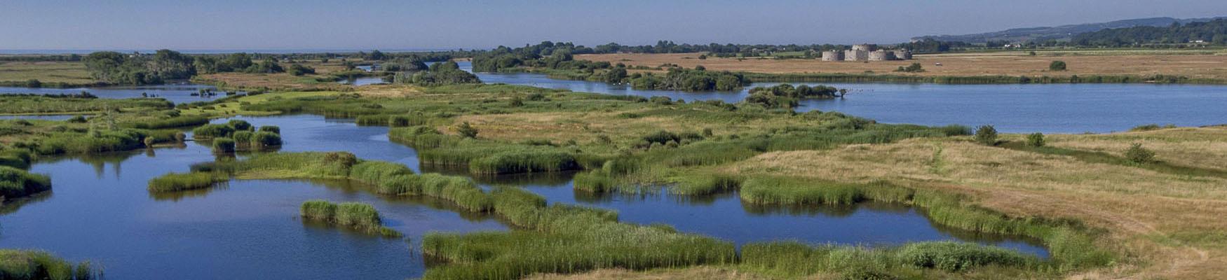 Aerial view of natural wetlands in Rye Harbour Nature Reserve, with blue waterways winding through green marshland under a clear sky.