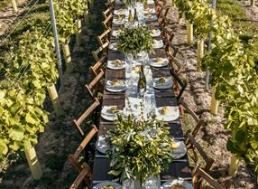 Table laid with plates and wines within a vineyard