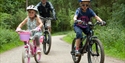 Family cycling at Bedgebury National Pinetum and Forest, Goudhurst, Kent