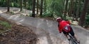 MTB Trail at Bedgebury National Pinetum and Forest, Goudhurst, Kent