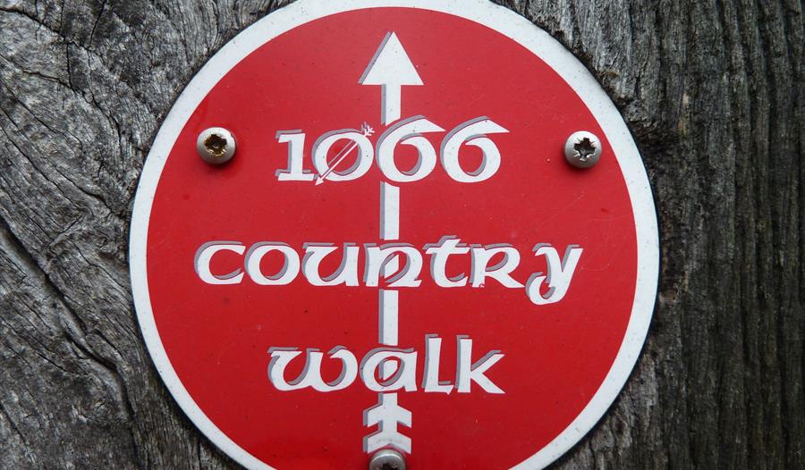 1066 Sponsored Walk