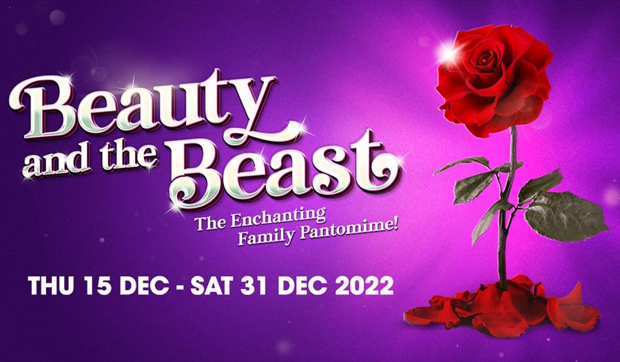 Poster for the pantomime Beauty and the Beast - red rose on purple background