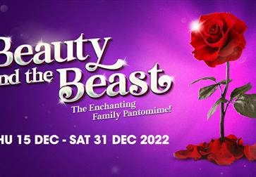 Poster for the pantomime Beauty and the Beast - red rose on purple background