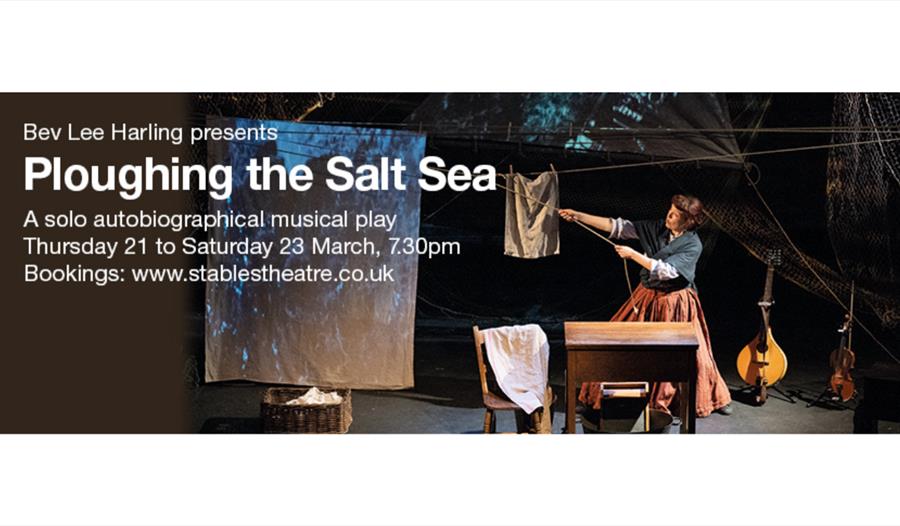 Poster for Ploughing the Salt Sea.