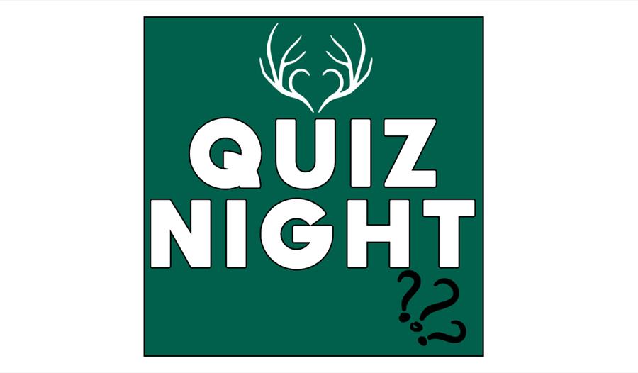 text saying "quiz night" in white font against a green background.