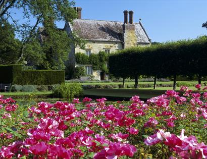 pink blooms in foreground wiht old country house once belonging to Rudyard Kipling in background