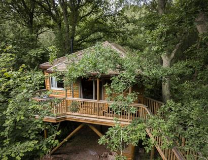 Tinkers Treehouse at Downash Wood Treehouses, East Sussex