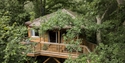 Tinkers Treehouse at Downash Wood Treehouses, East Sussex