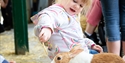 Children playing with rabbits at the Rare Breed Centre