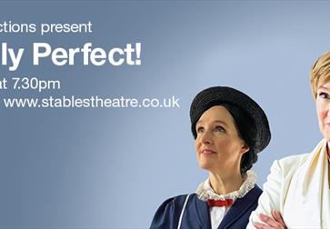Poster for Practically Perfect.