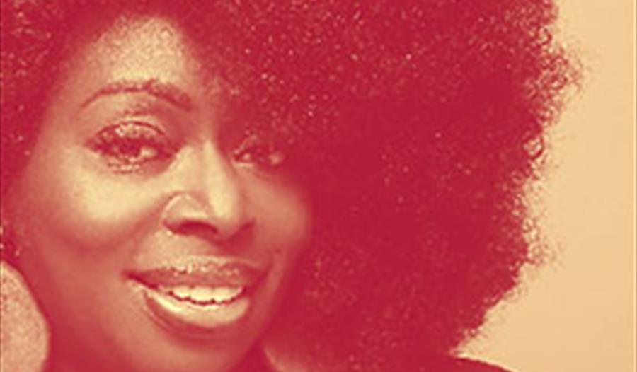 Photograph of lady with large afro, smiling. With an orange filter.