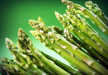 photograph of asparagus