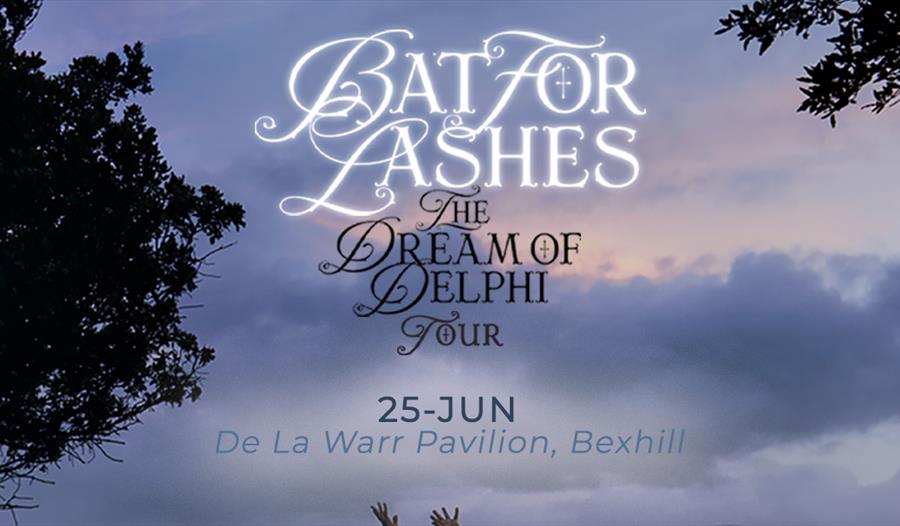 poster for Bat for Lashes