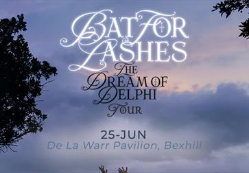 poster for Bat for Lashes