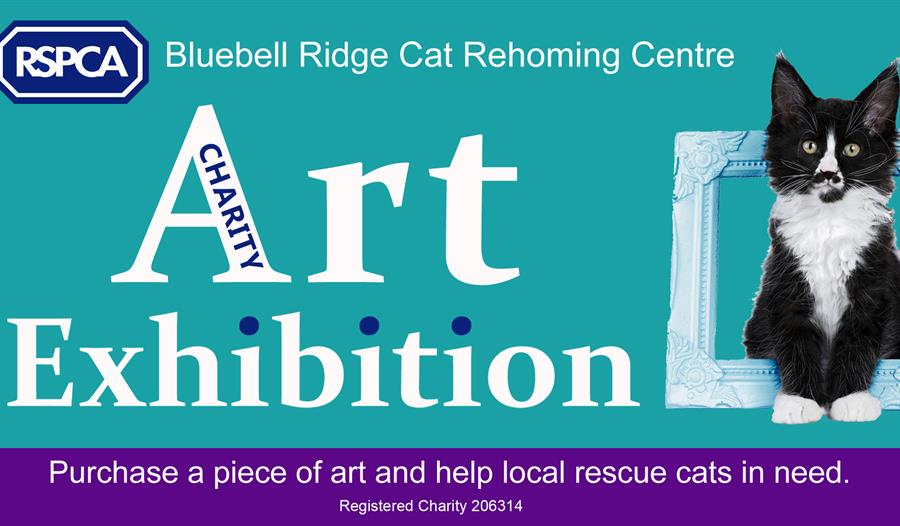 Bluebell Ridge Charity Art Exhibition