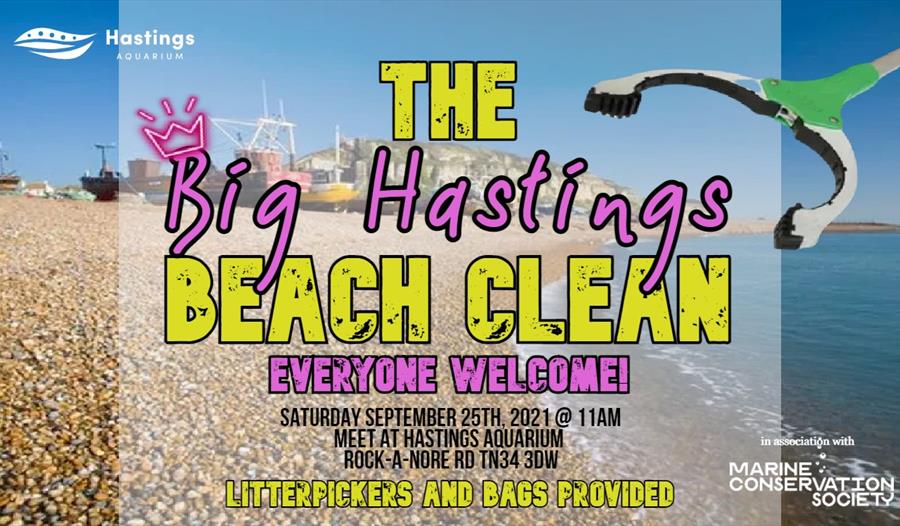 a poster for Hastings beach clean. Background photograph of the stade fishing beach. Pink and Yellow writing reads the big hastings beach clean, every