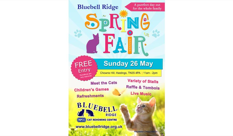 Bluebell Ridge Spring Fair