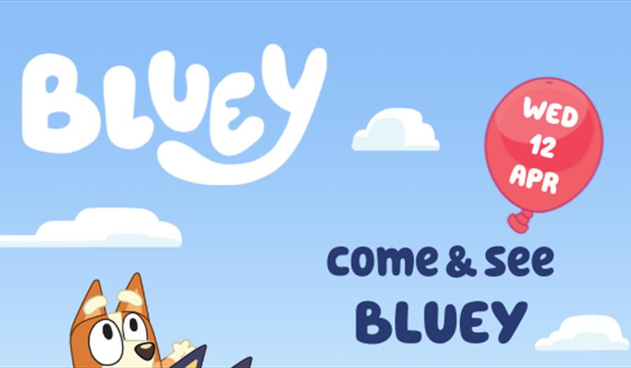 poster illustrated cartoon shows two dogs, one on top of the others shoulders. standing on grass with the words 'Bluey' written in clouds.