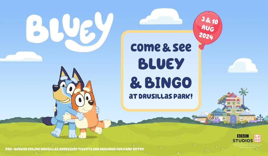 Bluey & Bingo at Drusillas Park Bluey & Bingo at Drusillas Park