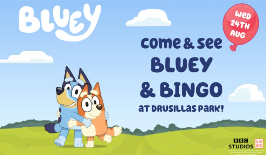 poster for bluey and bingo at drusillas park. Shows two cartoon dogs standing a field hugging each other