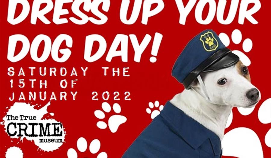 Dress Up Your Dog Day 2022