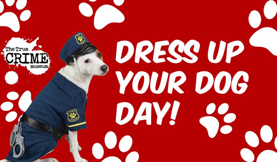 Dress Up Your Dog Day