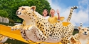 Children on a leopard funfair ride at Drusillas Park, Alfriston, East Sussex