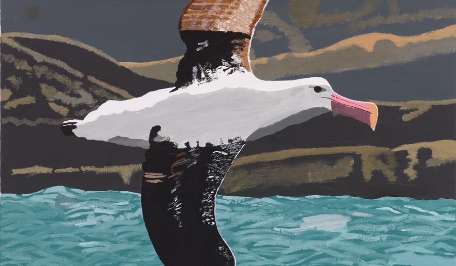 Ellen Prebble painting of an albatross.