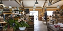 interior of farm shop with beams on ceiling and fresh salad leaves in foreground.