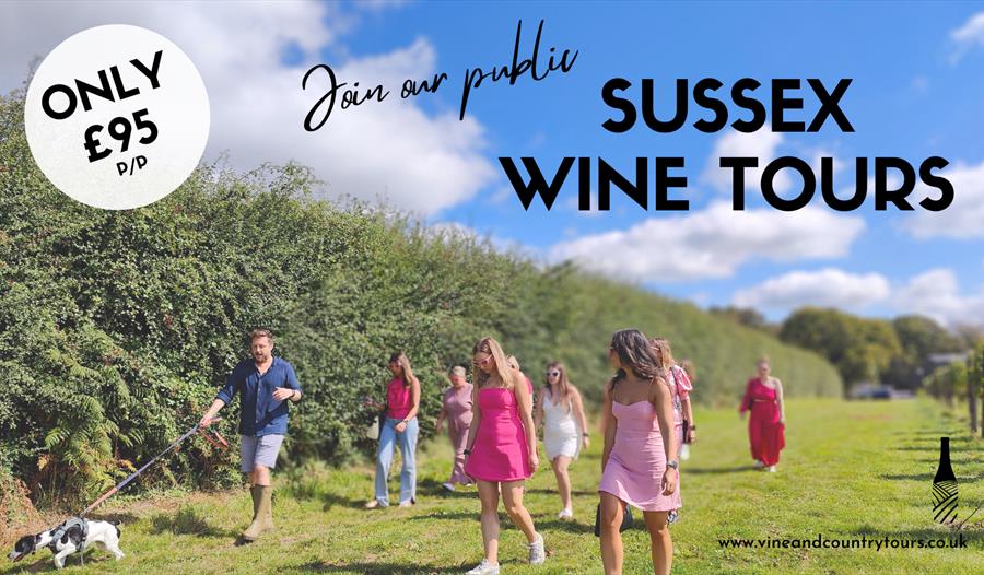 Sussex Wine Tour