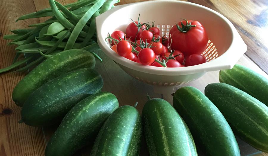 homegrown corgettes, tomatoes and green beans.