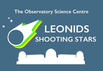 Poster for Leonids Shooting Stars